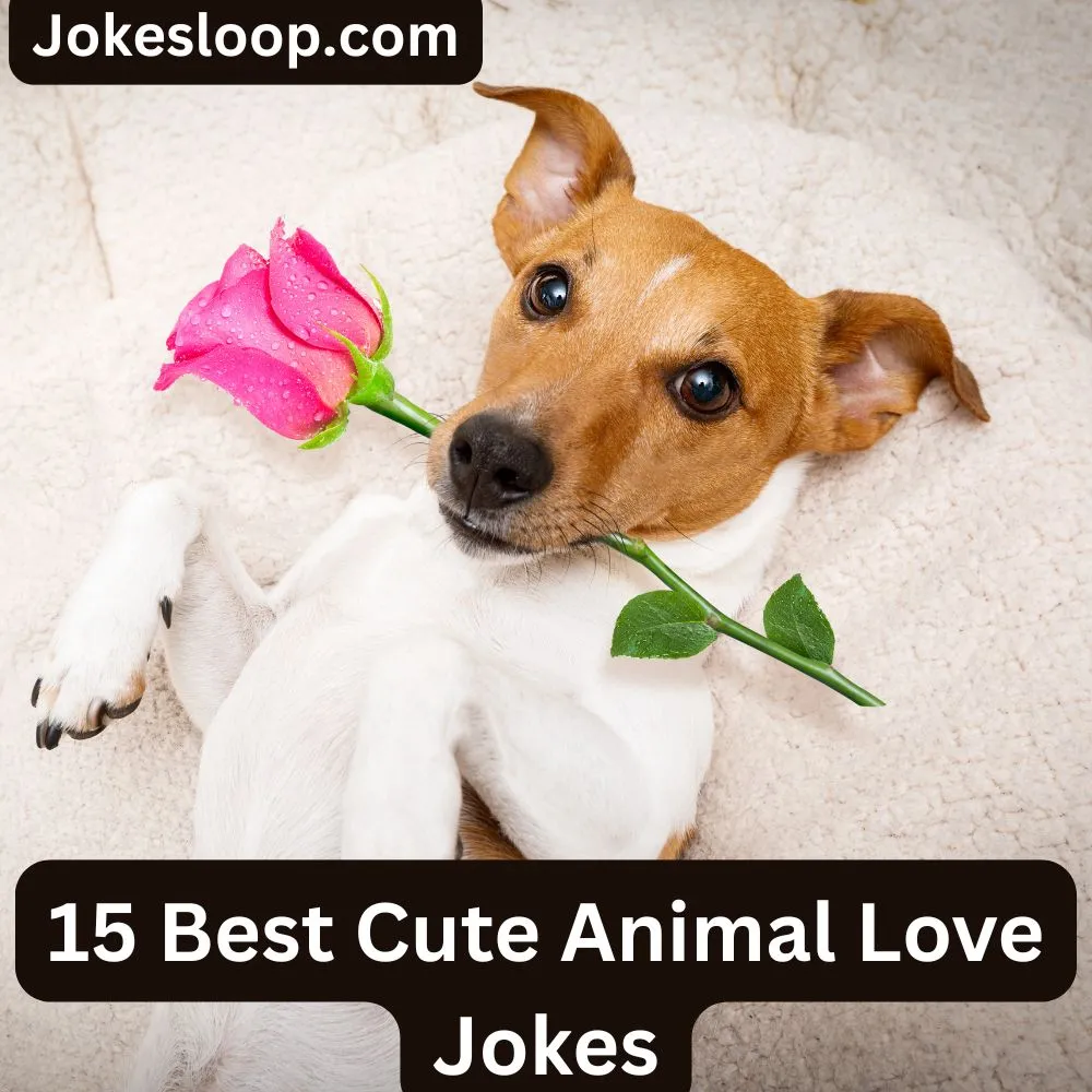 Cute Animal Love Jokes