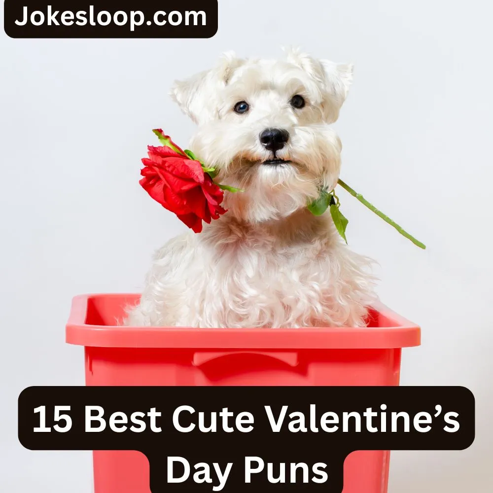 Cute Valentine’s Day Puns