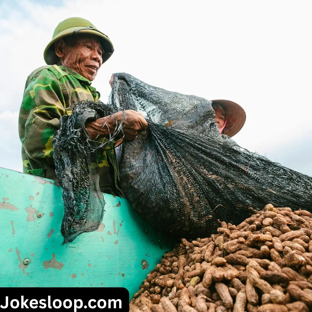 Peanut Jokes for Instagram