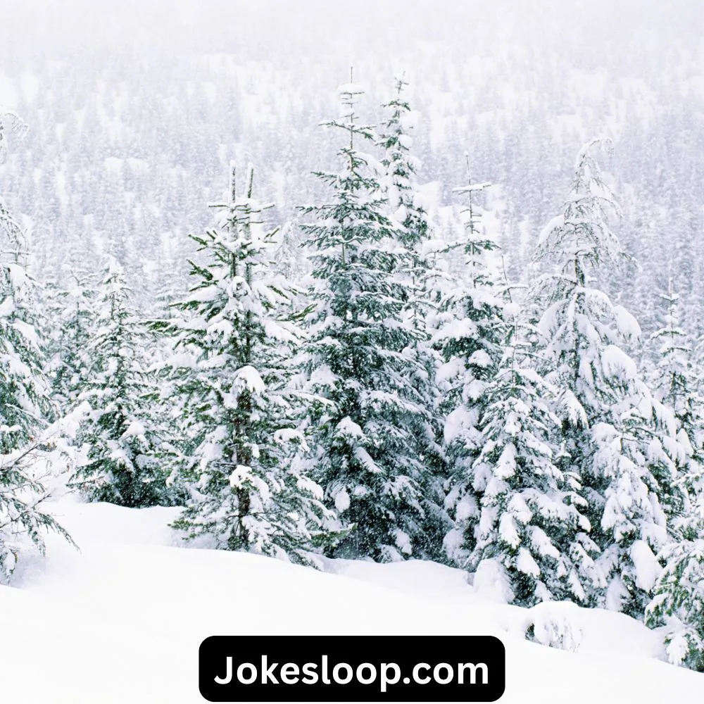 Snow Puns