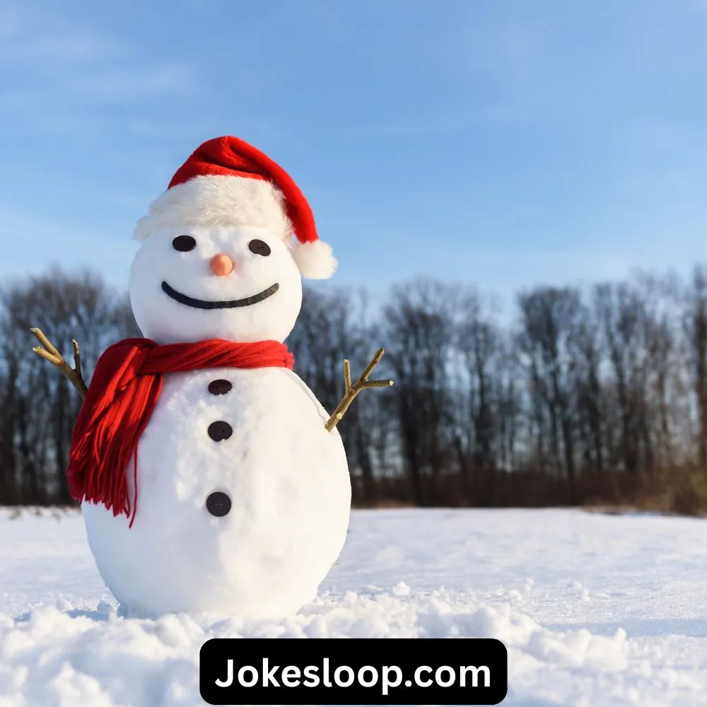 Snowman Puns