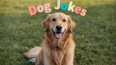 Dog Jokes
