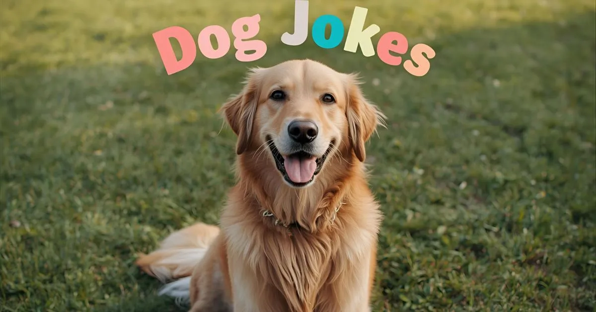 Dog Jokes