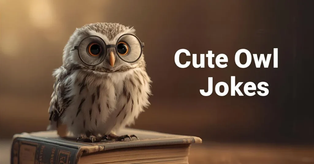 Cute Owl Jokes
