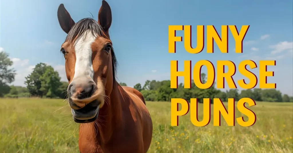 Funny Horse Puns 